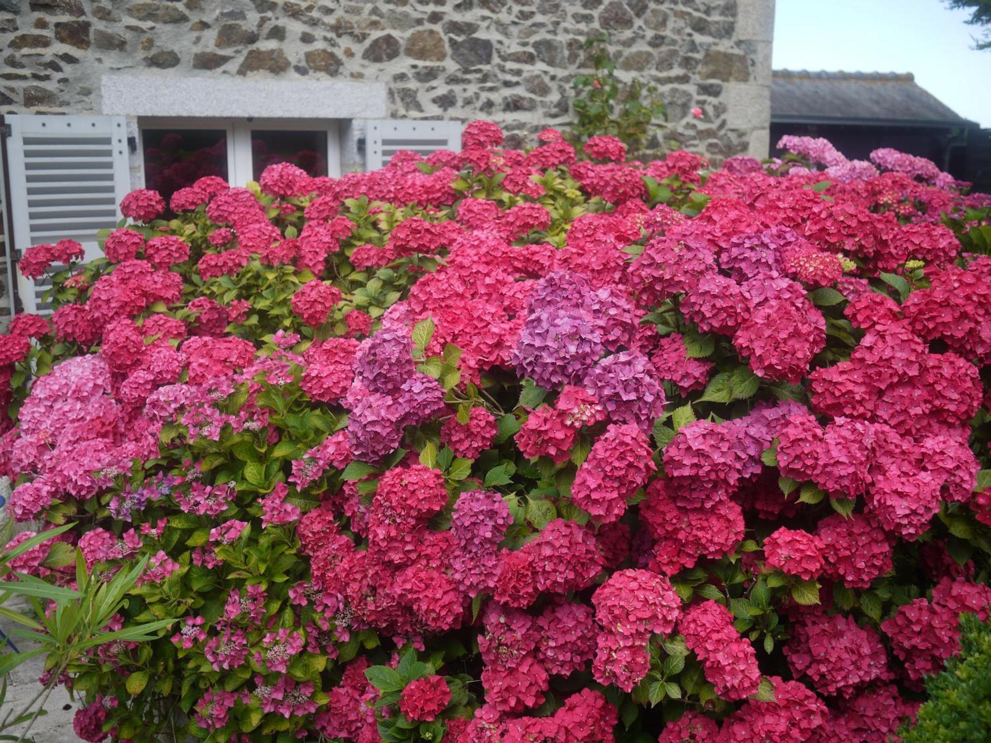 Nature, Mer, Golf & Decouvertes... Plouha Exterior foto